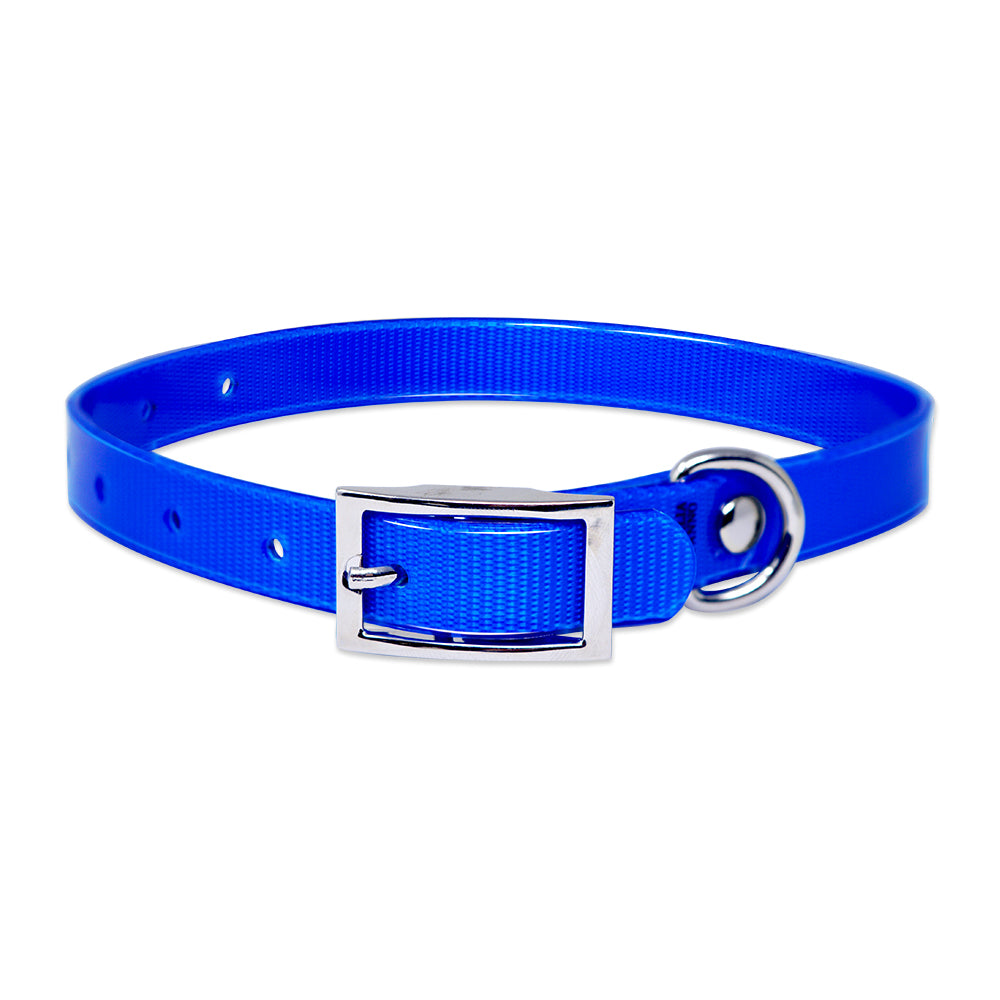 Engraved high-visibility collar for cats