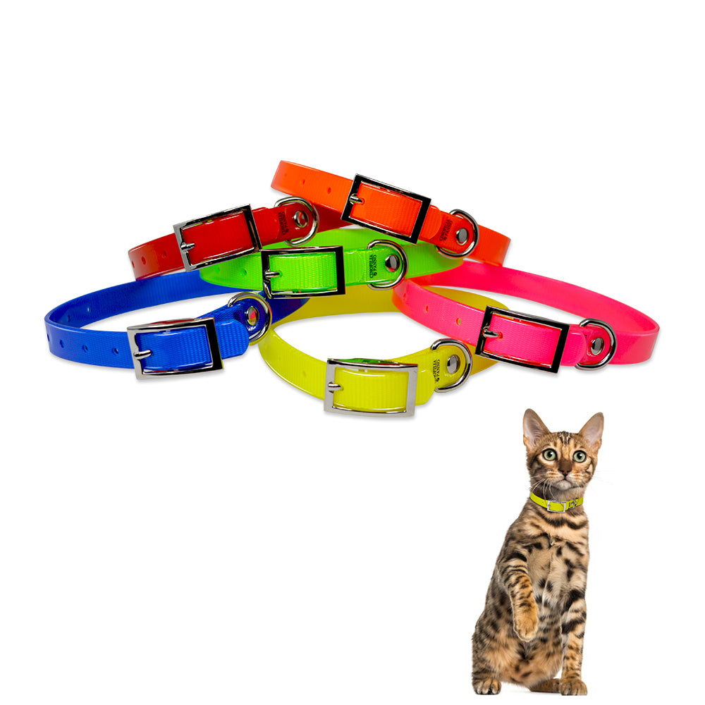 Collare alta visibilità per gatti neutro