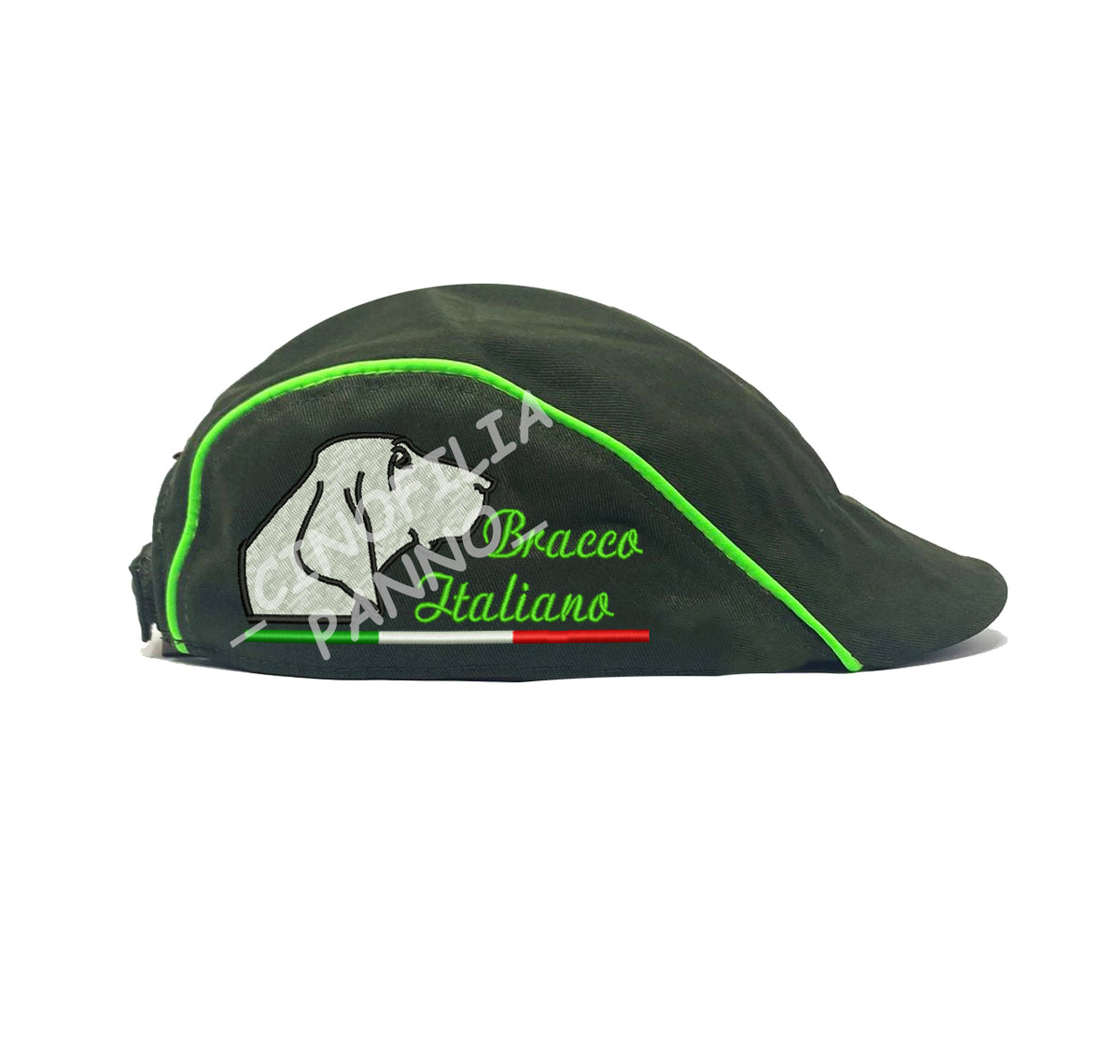 Coppola bracco italiano