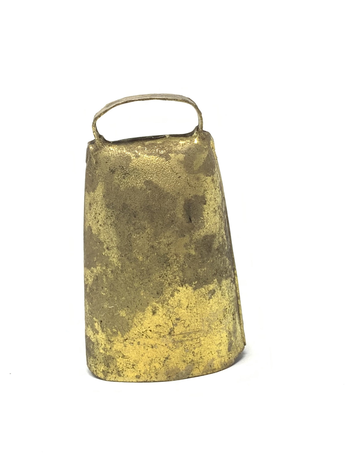 Campano sardo lungo l4
