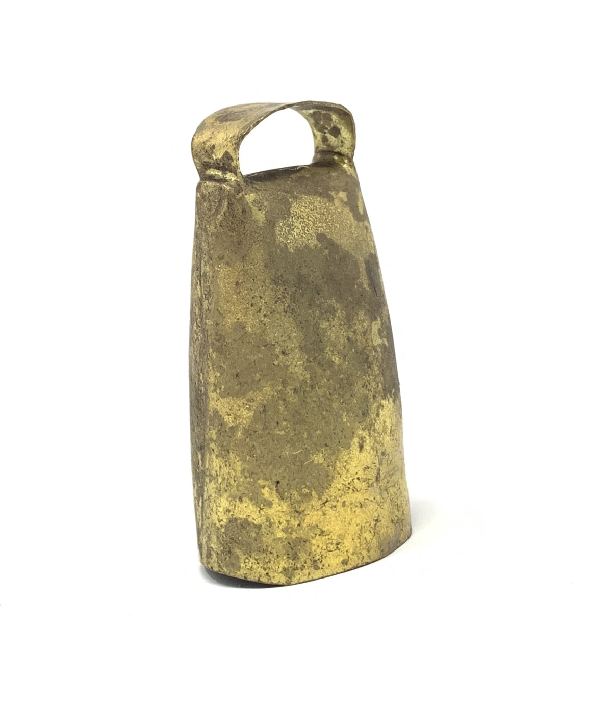 Campano sardo lungo l4