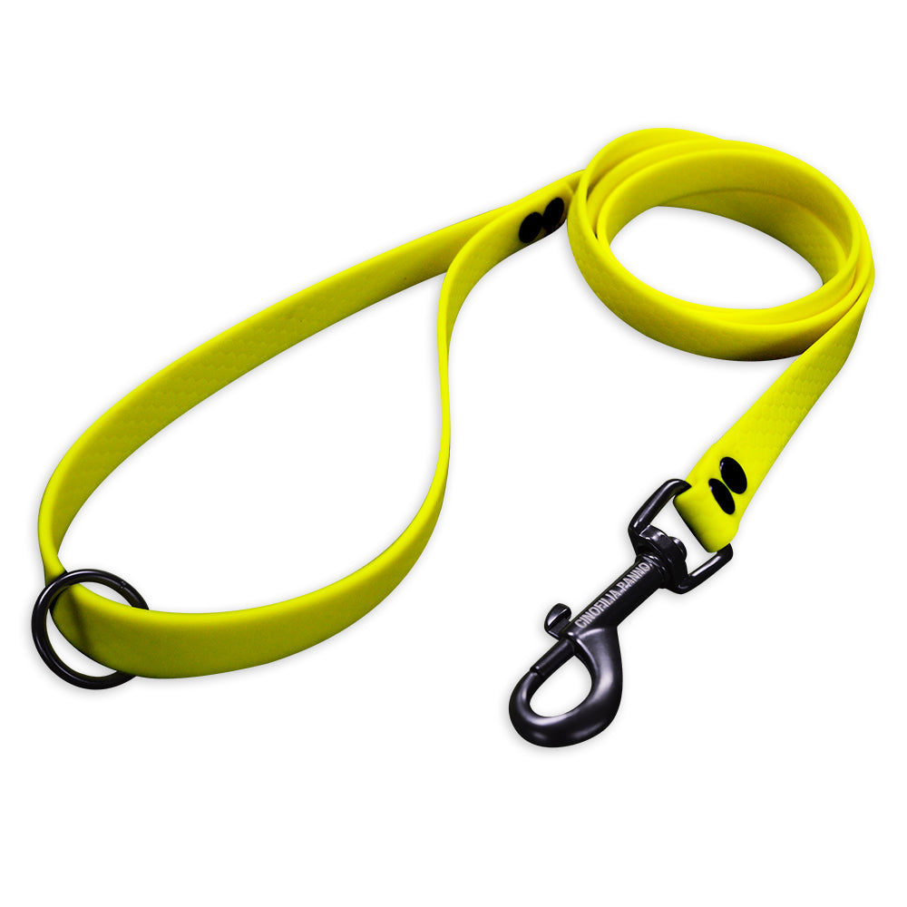 Classic hexagonal leash