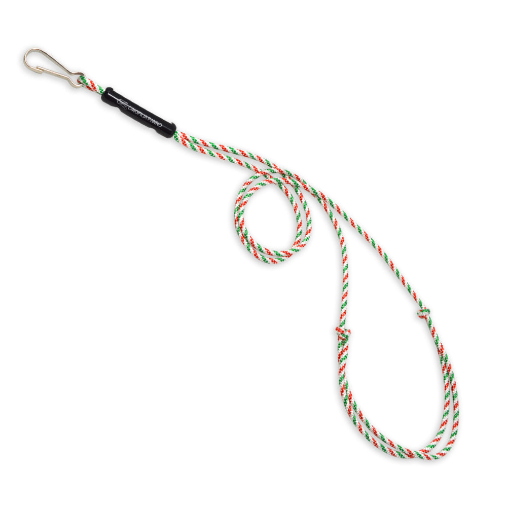 Whistle holder