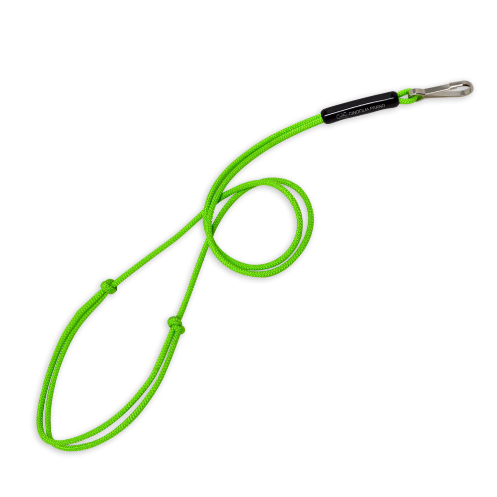 Whistle holder