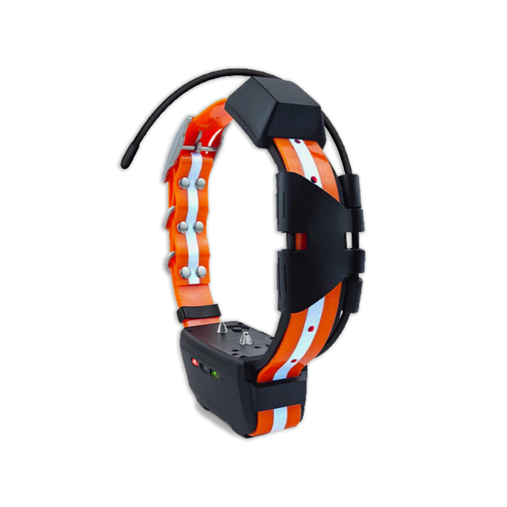 Collare aggiuntivo tr-dog r50
