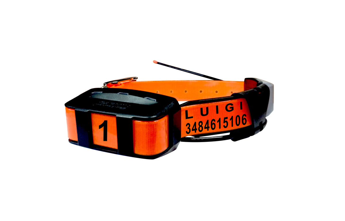 Collare personalizzato per garmin