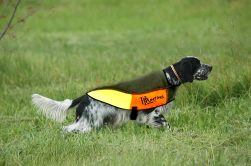 Mantellina cane in kevlar ad alta visibilità con protezione rovi