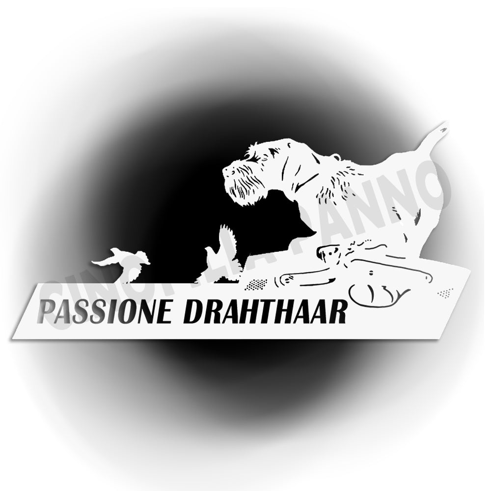 Adesivo drahthaar con fondo trasparente