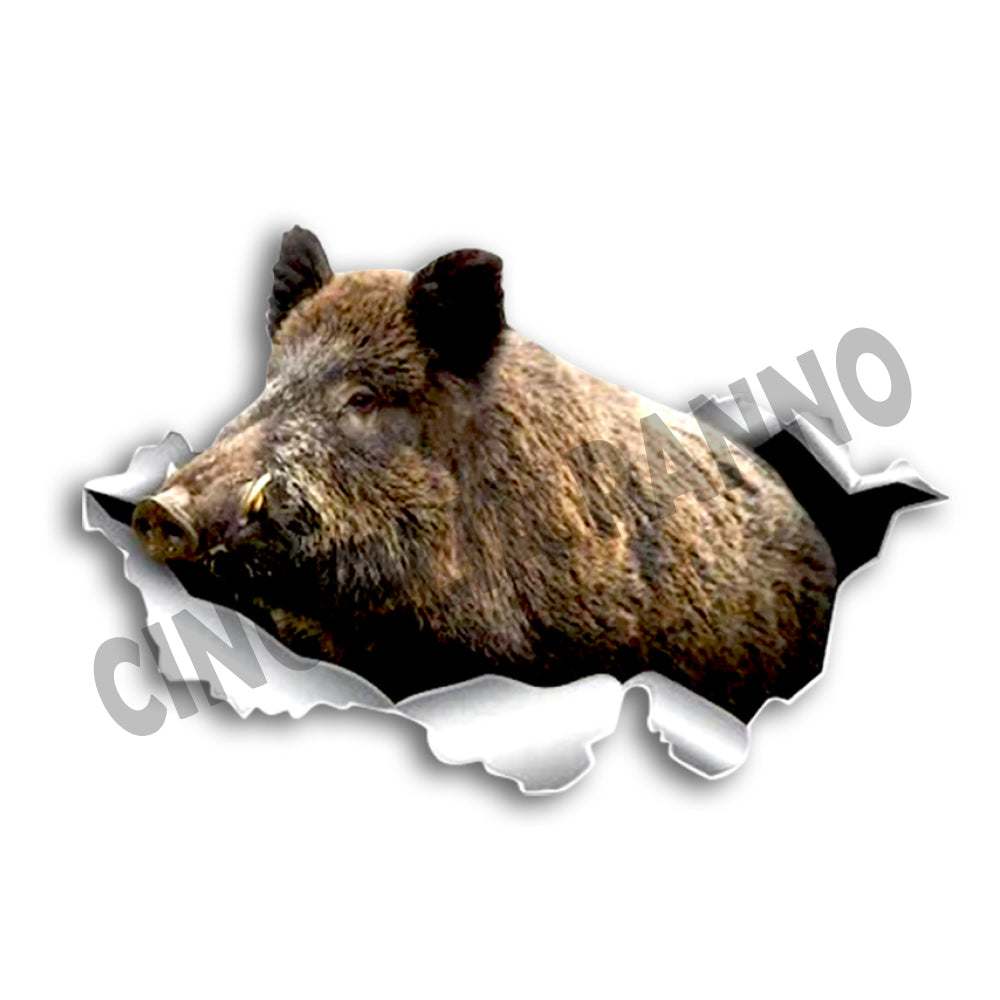 Adesivo cinghiale con foro