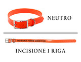 Collari alta visibilità incisi