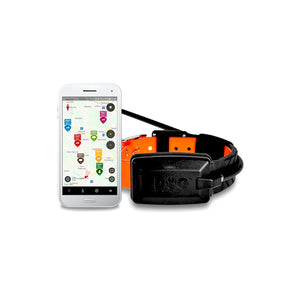 COLLARE AGGIUNTIVO X30T