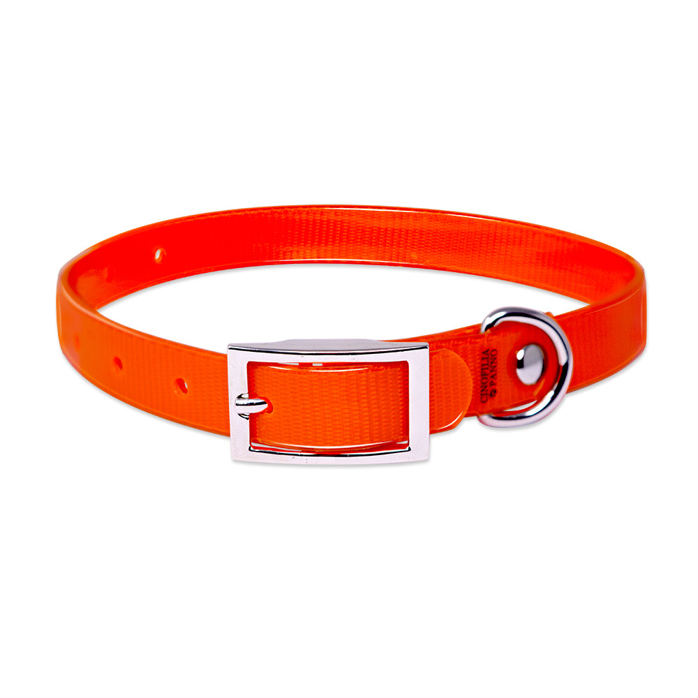 Engraved high-visibility collar for cats