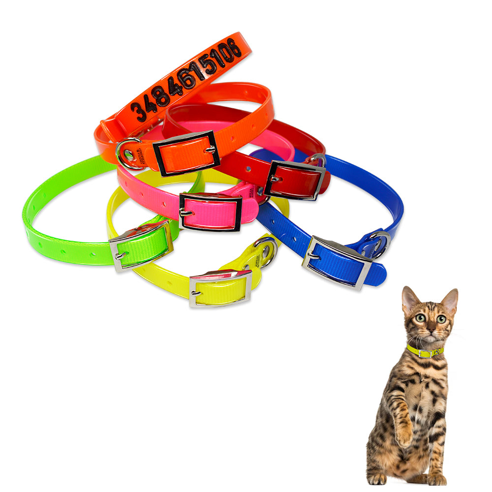 Engraved high-visibility collar for cats