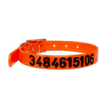 Engraved high-visibility collar for cats