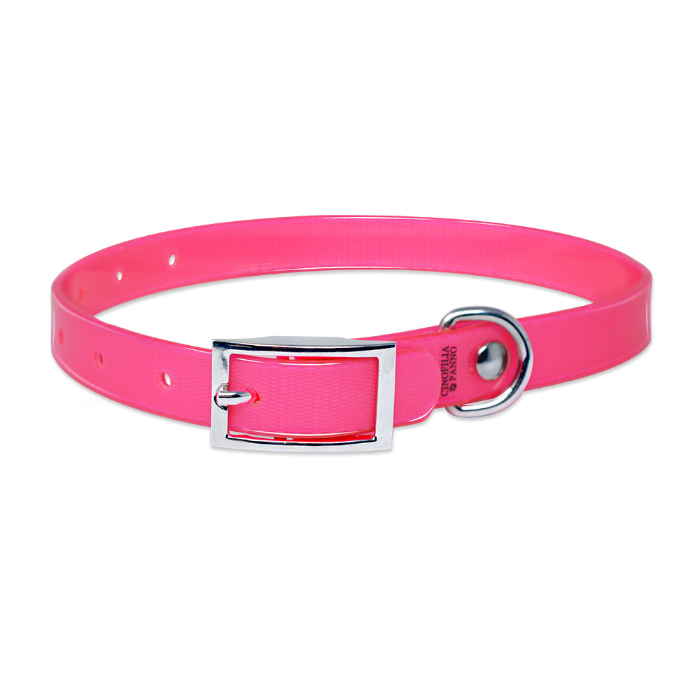 Engraved high-visibility collar for cats