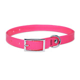 Engraved high-visibility collar for cats