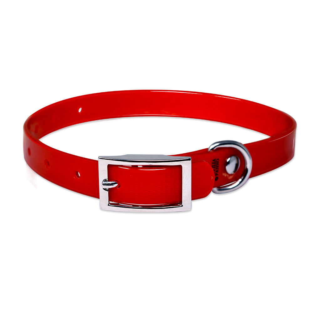 Engraved high-visibility collar for cats