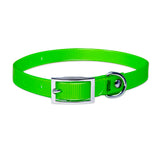 Engraved high-visibility collar for cats