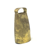 Campano sardo lungo l4