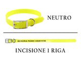 Collari alta visibilità incisi