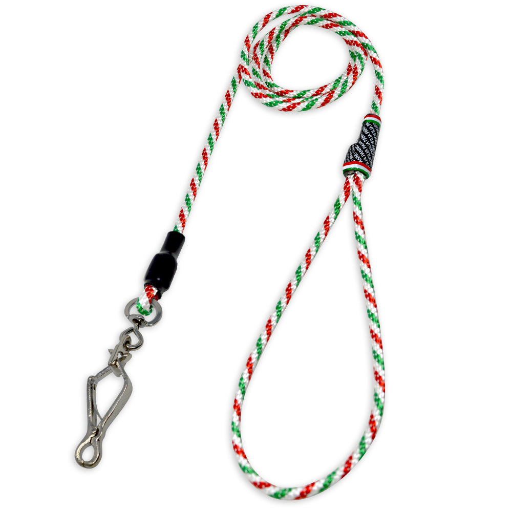 Guinzaglio classico a pinza