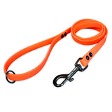 Classic hexagonal leash