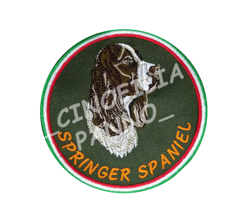 Springer Spaniel patch