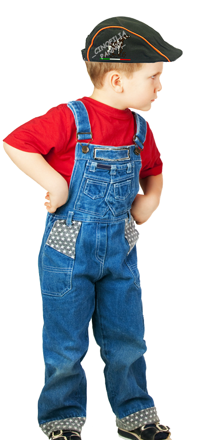 Coppola kurzhaar