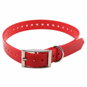 collare alta visibilità