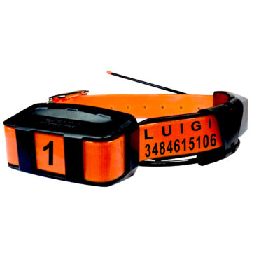 Collare personalizzato per Garmin