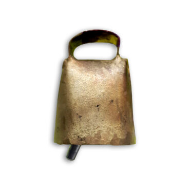 CAMPANO SARDO L1