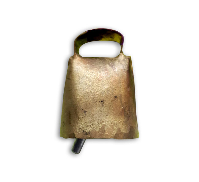 CAMPANO SARDO L1