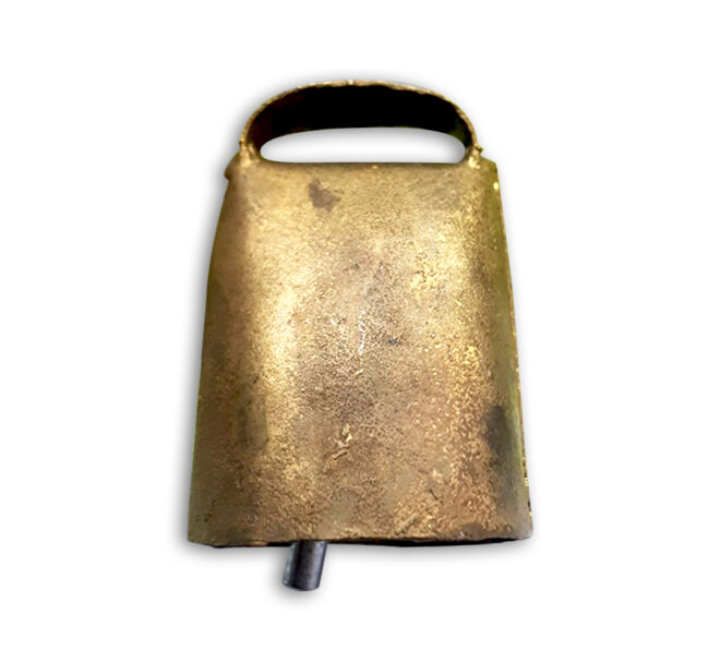 CAMPANO SARDO LUNGO L2