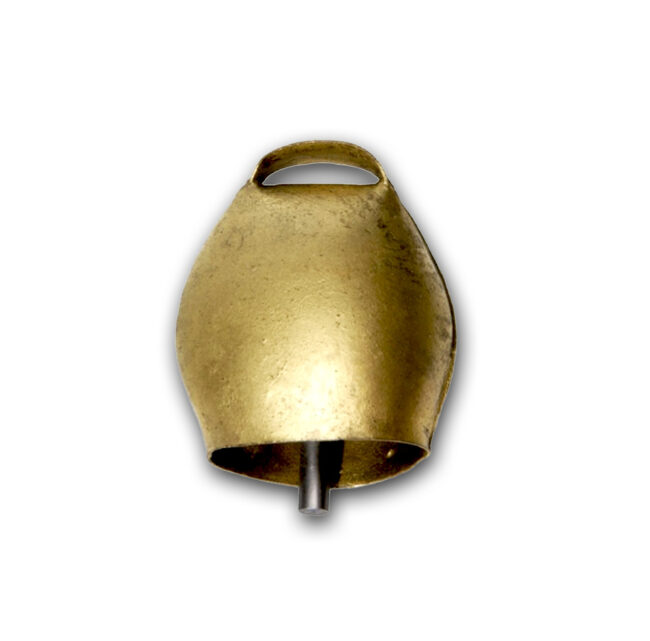 CAMPANO SARDO T1