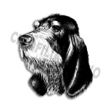 Adesivo Griffon