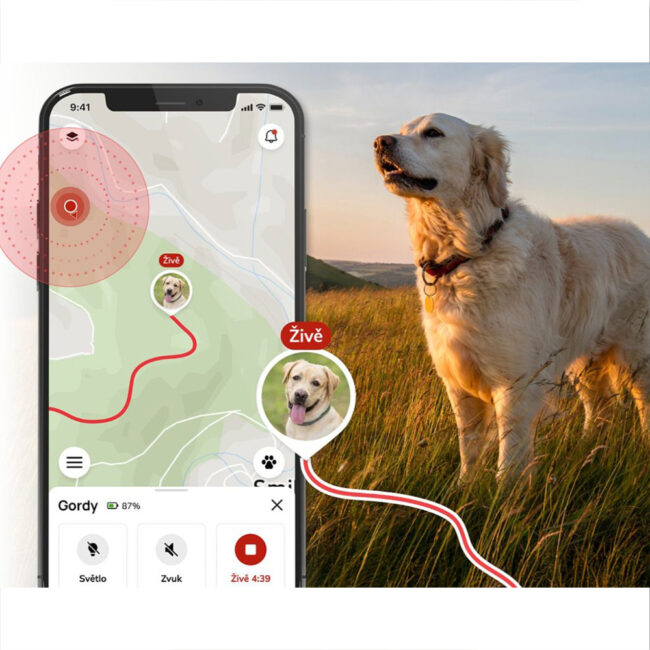 GPS Mini tracker Dogtrace compatto per cani e gatti