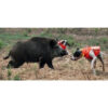Gilet protettivo Browning Protect Hunter arancione per cane da caccia anti cinghiale in Cordura e Dyneema