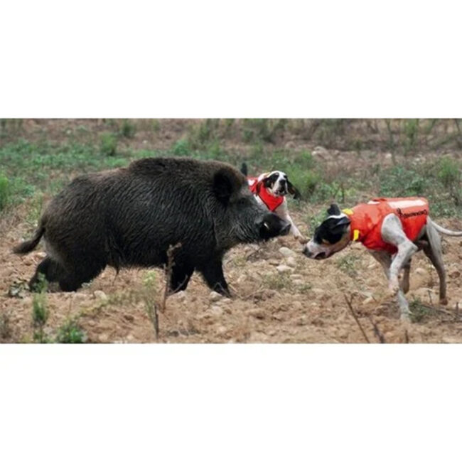 Gilet protettivo Browning Protect Hunter arancione per cane da caccia anti cinghiale in Cordura e Dyneema