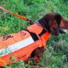 Zip aggiuntiva Browning per gilet protettivo Protect Hunter cane da caccia