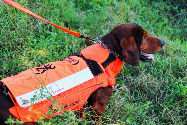 Zip aggiuntiva Browning per gilet protettivo Protect Hunter cane da caccia