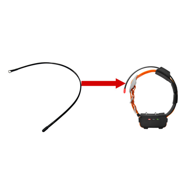 antenna collare gps tr dog r50 r60